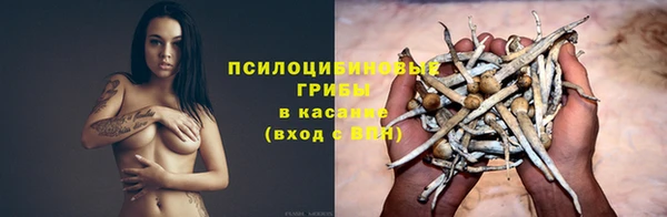 молекула духа Баксан