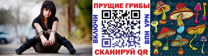 Галлюциногенные грибы Cubensis  даркнет как зайти  Пойковский 